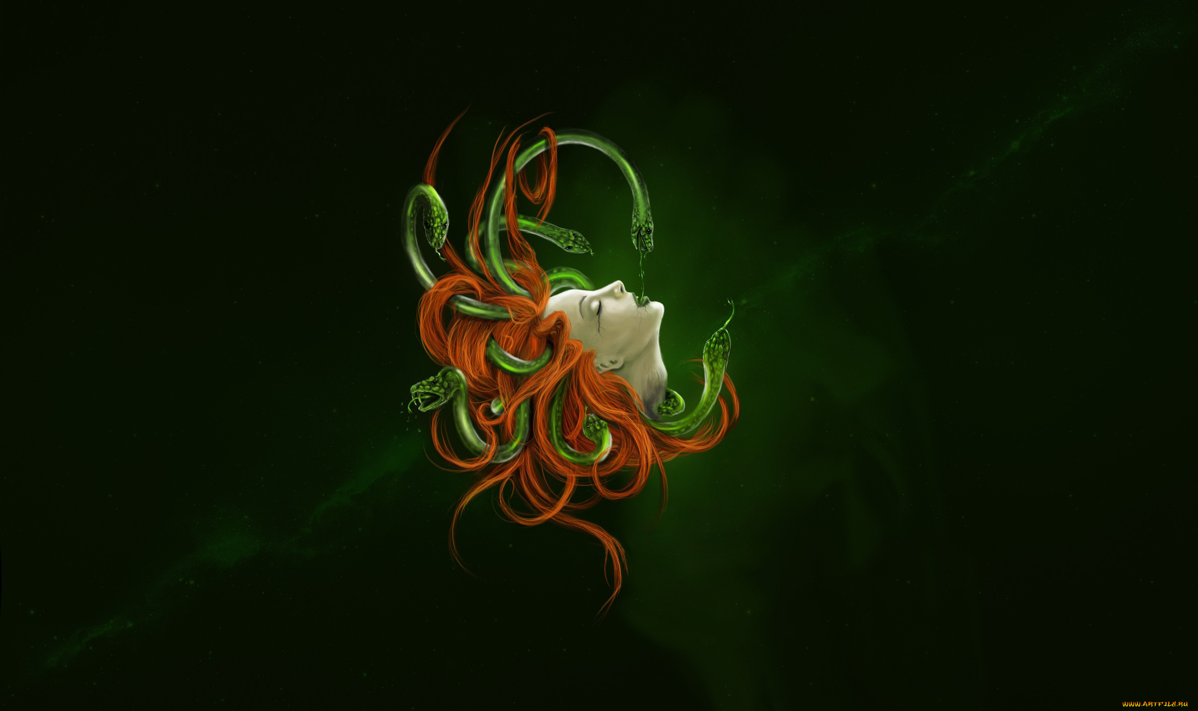 , , medusa, , , , , medussa, gorgon, , , , art, , 